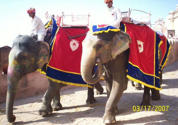 市場調査インド