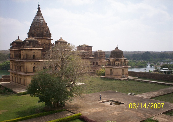 インド料理取材コーディネーター