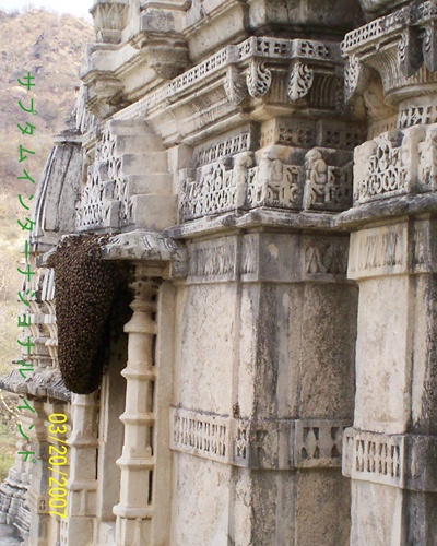 インドガンジス川の生活